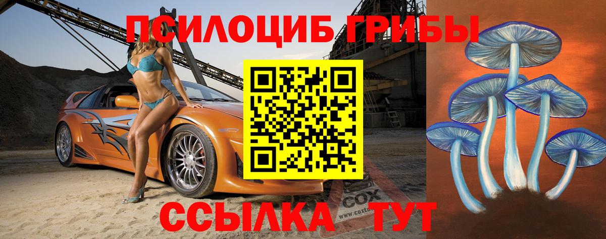 Новоалтайск  как найти наркотики  Вход с VPN  Псилоцибиновые грибы Cubensis 