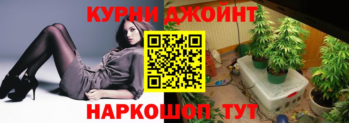 Бошки Шишки конопля Новоалтайск